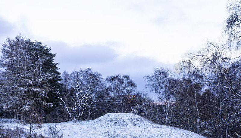 Winter View from Hans Broges Hills to Gellerup Parken - Århus